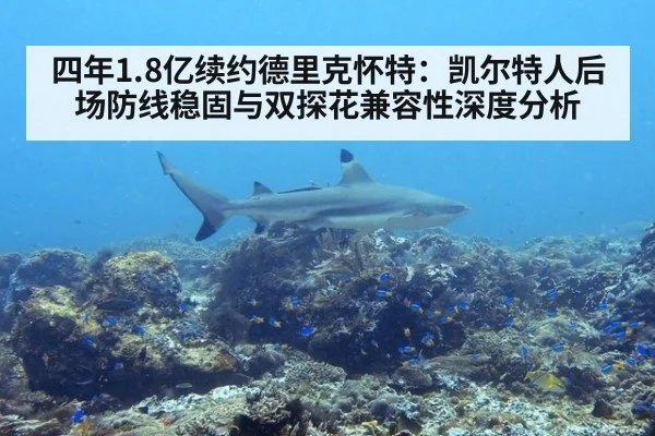 四年1.8亿续约德里克怀特：凯尔特人后场防线稳固与双探花兼容性深度分析